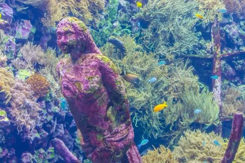 Eroding stone mermaid statue underwater, aquarium decoration, marine life bac Foto stock