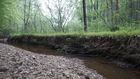 Eroding Stream Stock Footage 106948464