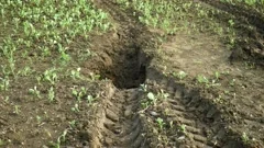 Wind erosion causing land degradation | Stock Video | Pond5