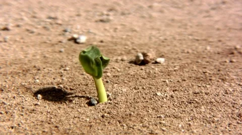 Erosion Video stock 7906389