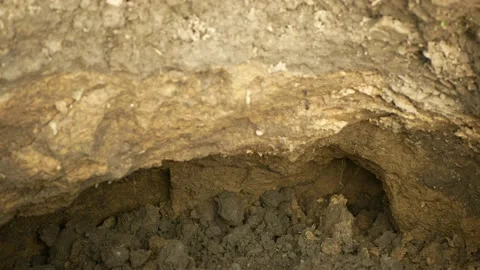 Erosion hole damage pit field subsoil tractor track hole pit soil Video stock 214093036