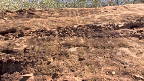 Erosion Process on a Sandstone Rock Vídeo Stock 289171334