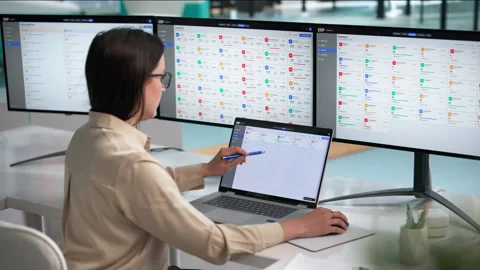 ERP Consultant Analyzes Enterprise Software Solutions On Laptop Stock Footage 339176509