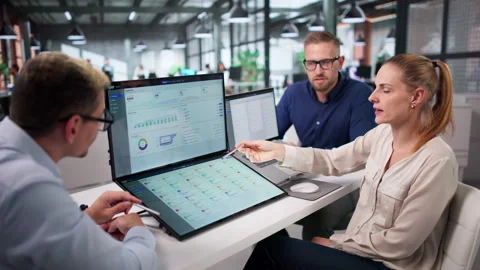 ERP Consultant Discussing Integrated Cloud Software Stock Footage 338169235