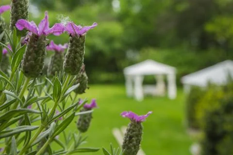 Errace restaurant in the park, with a table setting. Foto stock