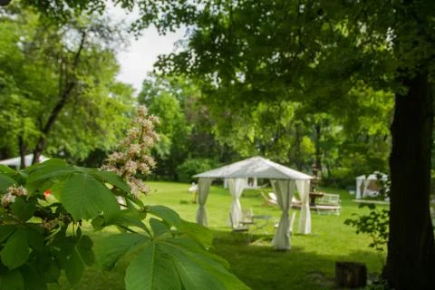 Errace restaurant in the park, with a table setting. Stock Photos
