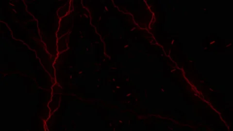 A Erratic red electricity flashing on black background Stock Footage 155304255