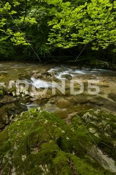 Erro river , Sorogain forest in Erro Valley, Navarre, Spain Stock Photos