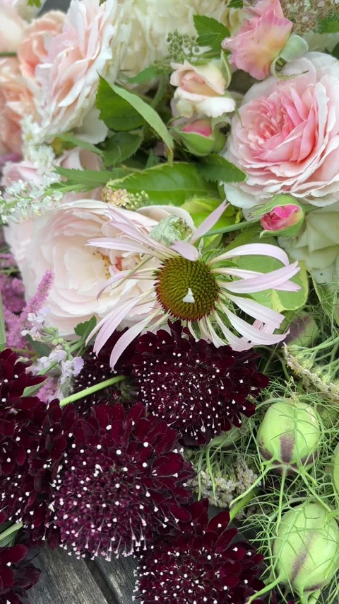 Ertical 4K handheld macro of echinacea and dark scabiosa flowers. 스톡 동영상 337908318