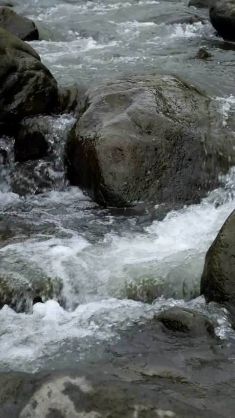 Ertical video fast flowing mountain river water Stock Footage 297731488