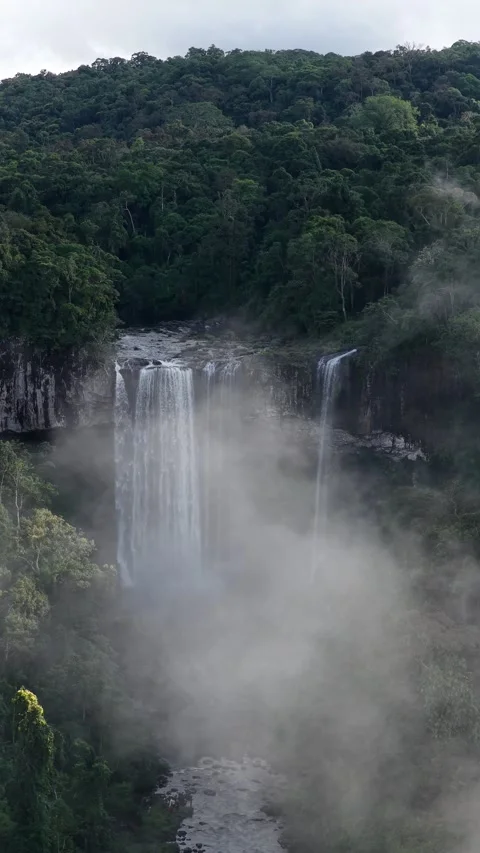 Ertical View of Majestic Waterfall Surrounded by Misty Rainforest 스톡 동영상 344042813