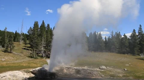 Eruption of Riverside Geyser Video stock 59568634