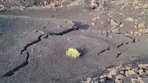 Eruptive fissure Etna volcano Stock Footage 197371153