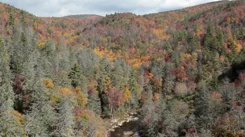 Erwin's View Stock Footage 6586950