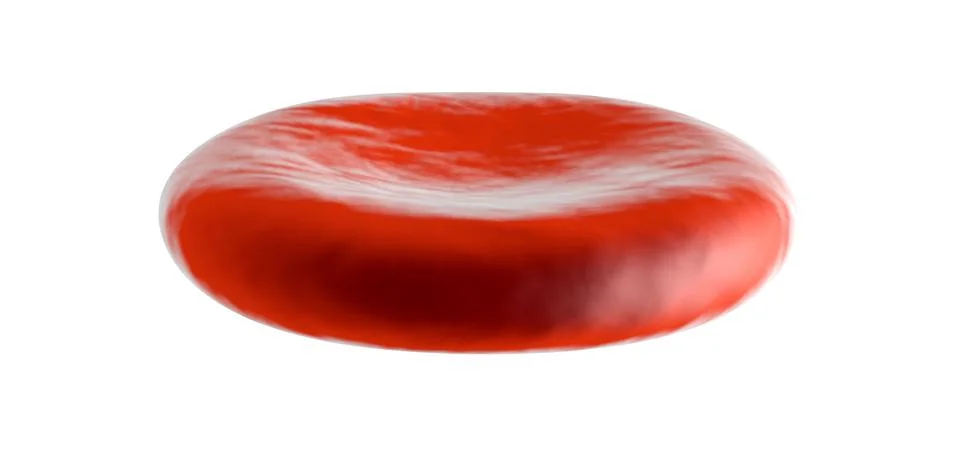 Erythrocyte Cell Stock Illustration