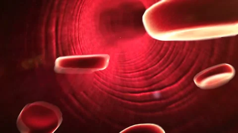 Erythrocyte, cholesterol Stock Footage 43788168