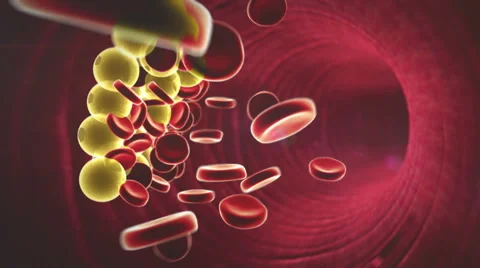 Erythrocyte, cholesterol Stock Footage 46795924