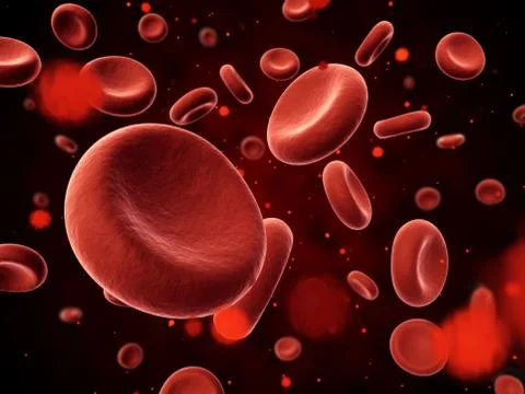 Erythrocyte Stock Illustration