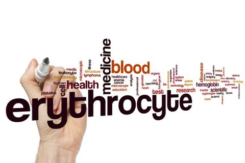 Erythrocyte word cloud Stock Illustration