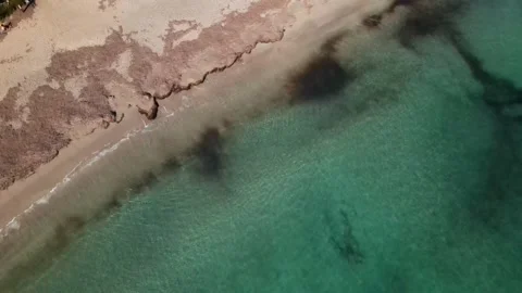 Es Canar beach in Ibiza, Spain Stock Footage 201604129