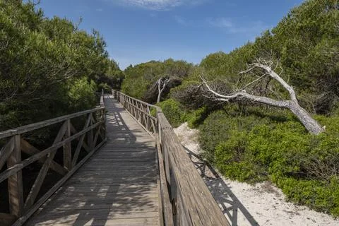 Es Comu wooden walkway, rea Natural d'Especial Inters, included within the Na Stock Photos