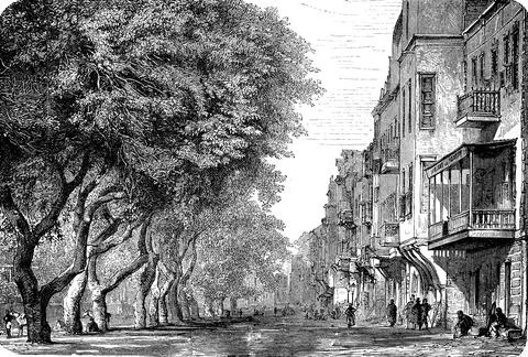 The Esbekieh Square with acacias in Cairo, Egypt, in 1880, Historical, digital Ilustração Stock