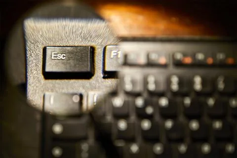 Esc key on the keyboard 写真素材