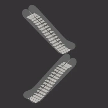Escalator isolated on white background. Modern architecture stair, lift and e Stock Illustration
