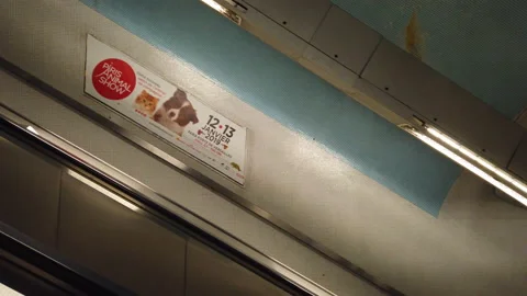 Escalator in Paris Metro - moving staircase downwards Stock Footage 160043612