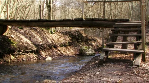 Escape from the forest Stock Footage