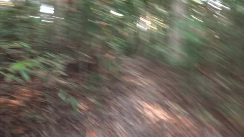 Escape in a panic with a fall on the jungle trail Stock Footage 331437203