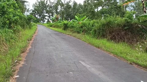 Escape visuals driving down a quiet. Stock Footage 321941049