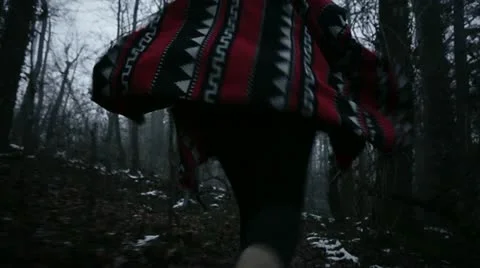 Escaping in the forest Stock Footage 18934928