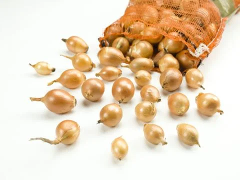 Escaping onions Stock-Fotos