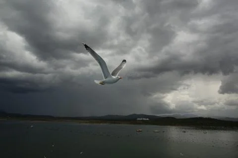 Escaping the storm Stock Photos