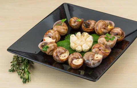 Escargot Stock Photos