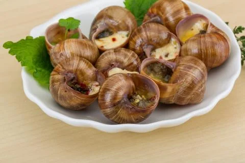 Escargot Stock Photos