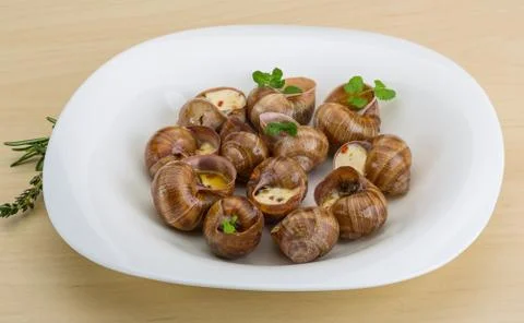 Escargot Stock Photos