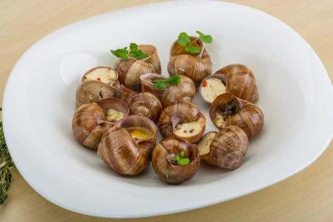 Escargot Stock Photos