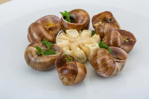 Escargot Stock Photos
