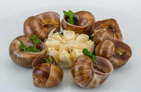 Escargot Stock Photos