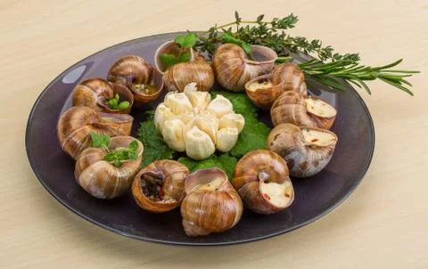 Escargot Foto stock