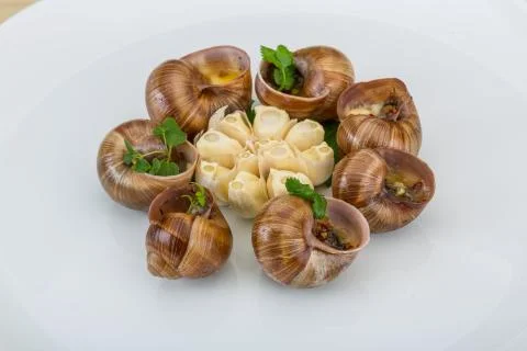Escargot Stock Photos