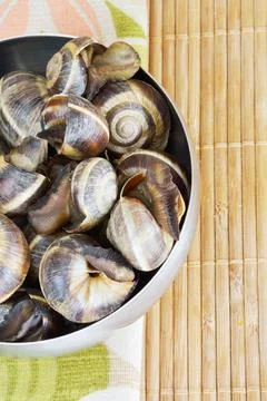 Escargot Stock Photos
