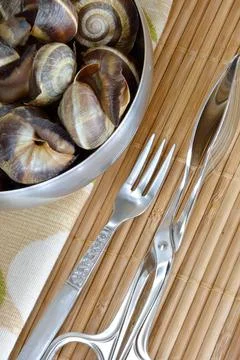 Escargot Stock Photos