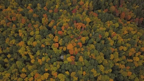 Escarpment in autumn forest Stock Footage 100127310