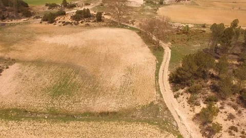 Escena campestre 库存影片 96417168