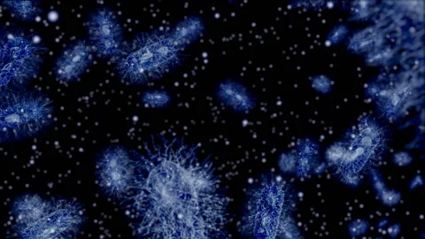 Escherichia coli bacteria Stock Footage 140812832