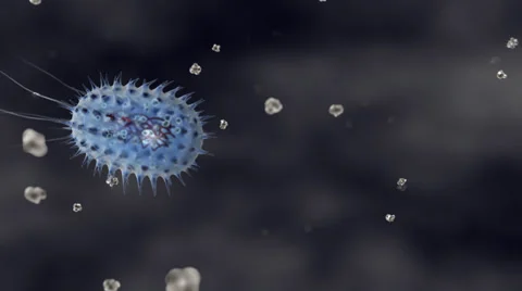 Escherichia coli bacterium Stock Footage 48903934
