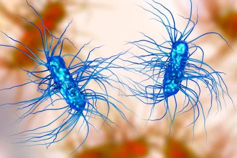 Escherichia coli bacterium Illustrazione stock